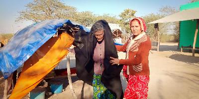 #15 Khedapati Balaji Madhorajpura Blanket Distribution