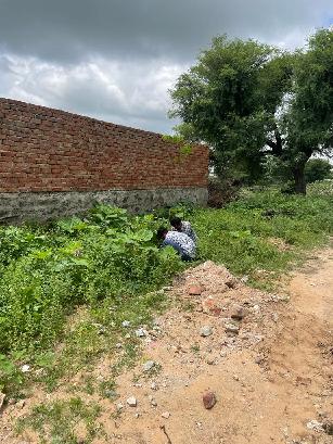 Tree Plantation at Jagatpura